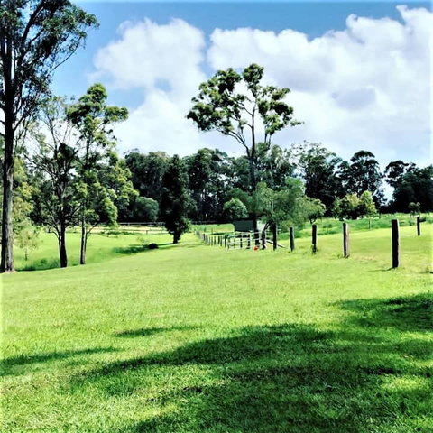 Sunshine Coast Farm Stay  - Accommodation QLD 3