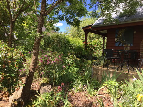 Artscape Cottage Beechworth - Accommodation QLD 2