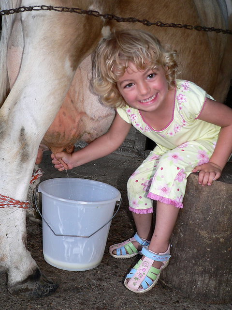 Ashmar Farmstay - Accommodation QLD 1