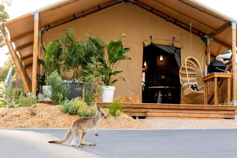BIG4 Anglesea Holiday Park - Accommodation QLD 2