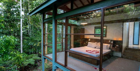 Crystal Creek Rainforest Retreat - Accommodation QLD 2