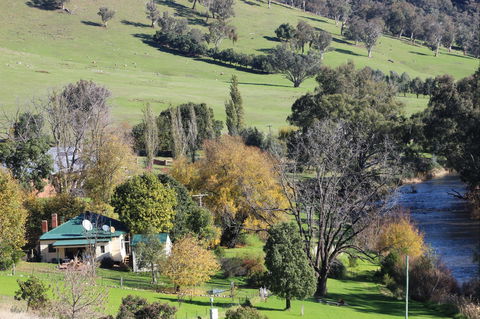 Elm Cottage Tumut - Accommodation QLD 1