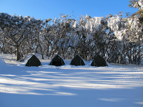Mt Stirling Alpine Winter Camp - Accommodation QLD 1
