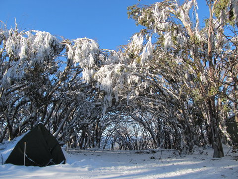 Mt Stirling Alpine Winter Camp - Accommodation QLD 2