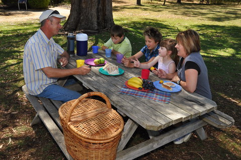 Naracoorte Caves Camping And Accomodation - Accommodation QLD 0