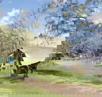 Pebbly Beach campground - Yuraygir National Park - Accommodation QLD