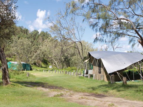 Pebbly Beach Campground - Yuraygir National Park - Accommodation QLD 0