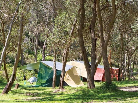 Pebbly Beach Campground - Yuraygir National Park - Accommodation QLD 1