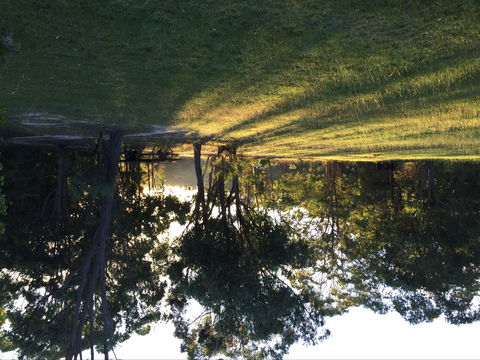 Possum's Hollow And Hooter's Hut - Accommodation QLD 0