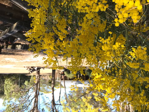 Possum's Hollow And Hooter's Hut - Accommodation QLD 1