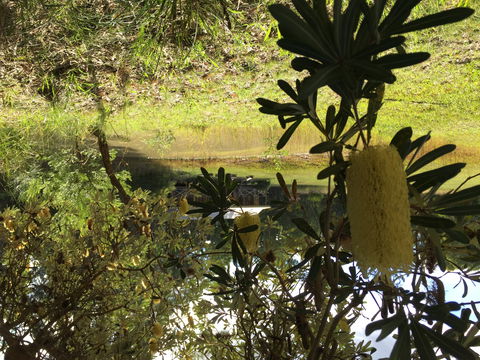 Possum's Hollow And Hooter's Hut - Accommodation QLD 2
