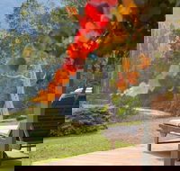 Riverdowns - Accommodation QLD