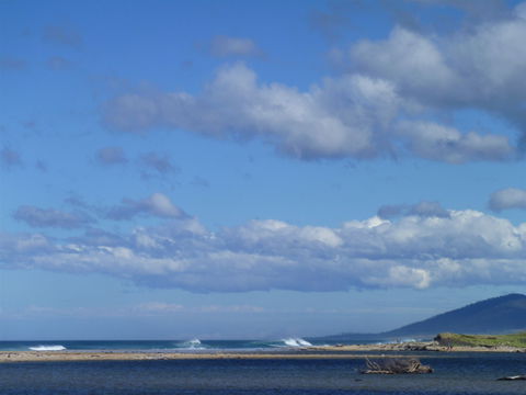 Scamander On The Beach - Accommodation QLD 1
