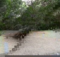 Springbrook National Park camping - Accommodation QLD