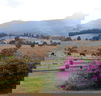 The Barn  House Farm Stay at Possum Manor - Accommodation QLD