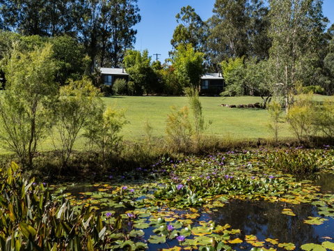 Tuckeroo Cottages And Gardens - Accommodation QLD 1