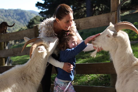 Valley View Nature Retreat - Accommodation QLD 1