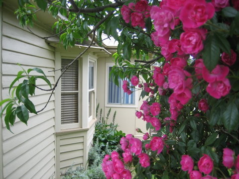 Valley Views Bed And Breakfast - Accommodation QLD 0