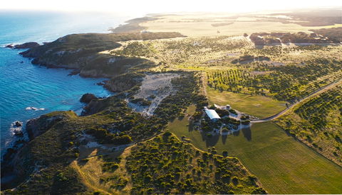 Yondah Beach House - Accommodation QLD 1