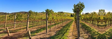 De Vine Escape - Accommodation QLD 4