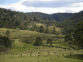 Yasuragi Cabins - Accommodation QLD 0