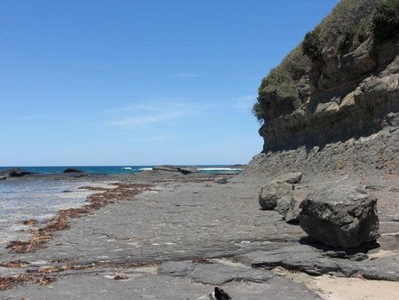Dolphins Point Tourist Park - Accommodation QLD 4