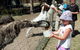 Bairnsdale Holiday Park - thumb 2