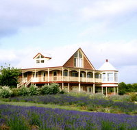 Serendipity Lavender Farm - Accommodation QLD