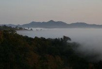 Bumblebrook Farm Motel - Accommodation QLD 4