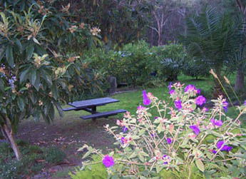 Sunway Farm B And B And Tours - Accommodation QLD 2