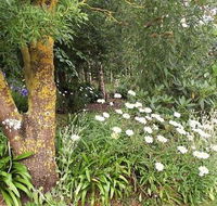 Springbank Bed and Breakfast - Accommodation QLD