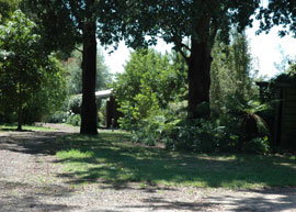 Bloomfield Cottages - Accommodation QLD 2