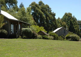 Bloomfield Cottages - Accommodation QLD 4