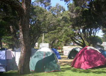 QueenscliffeTourist Park - Accommodation QLD 2