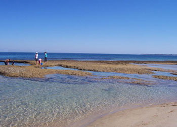 QueenscliffeTourist Park - Accommodation QLD 3