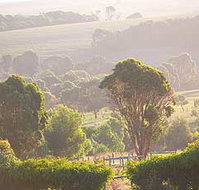 Mackas Farm - Accommodation QLD