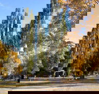 Omeo Caravan Park - Accommodation QLD