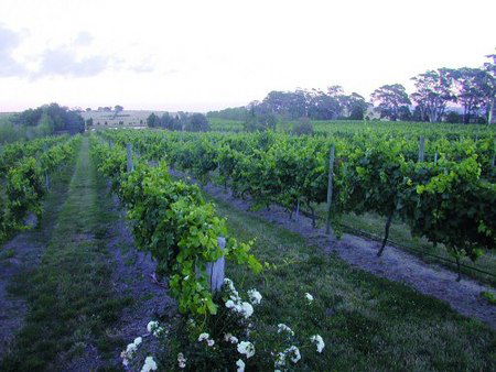 Glen Erin At Lancefield - Accommodation QLD 3