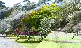 Otways Tourist Park - Accommodation QLD 0