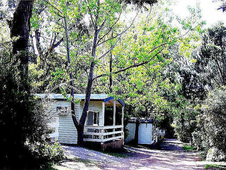 Flinders Caravan Park - Accommodation QLD 0
