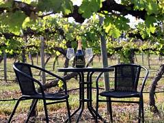 De Vine Escape - Accommodation QLD 2