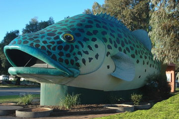 Swan Hill Holiday Park - Accommodation QLD 4