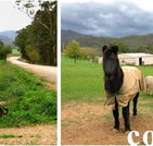 Emerald Park Holiday Farm - Accommodation QLD