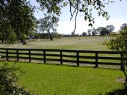 Ardwick Homestead - Accommodation QLD 2