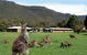 Halls Gap Log Cabins - thumb 2