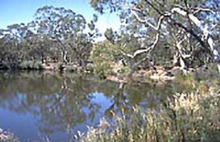 Riverside Host Farm - Accommodation QLD 1