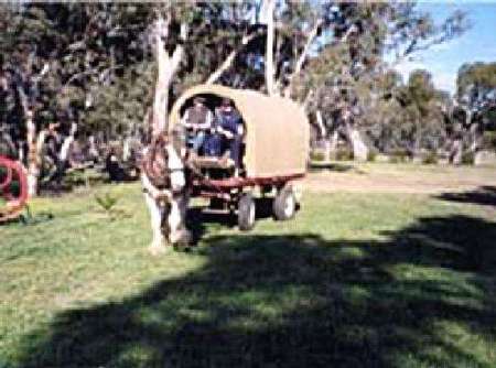 Riverside Host Farm - Accommodation QLD 3