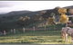 Idlewild Park Farm Accommodation - thumb 1