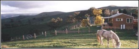 Idlewild Park Farm Accommodation - Accommodation QLD 1