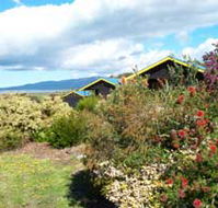 Black Cockatoo Cottages - Accommodation QLD